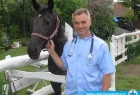 Ultrazvuk i rendgen konja